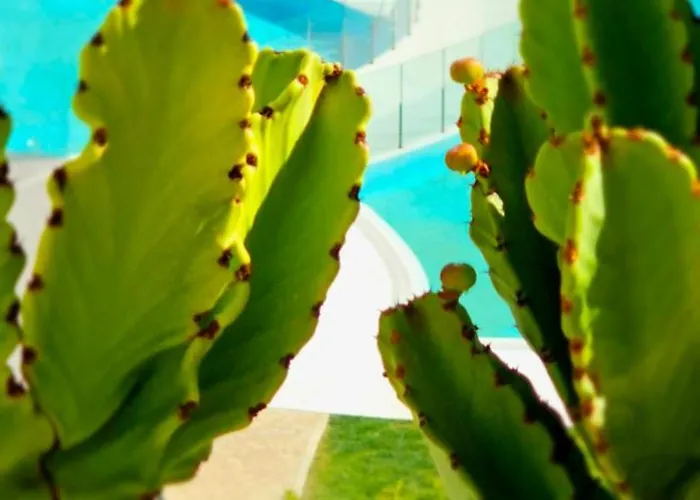 Apartamento Mara's Higuerón West - Luxurious&sunny Fuengirola